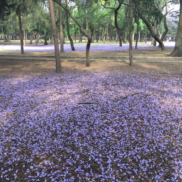 Das Foto wurde bei Museo Tamayo von Edgar G. am 4/20/2016 aufgenommen