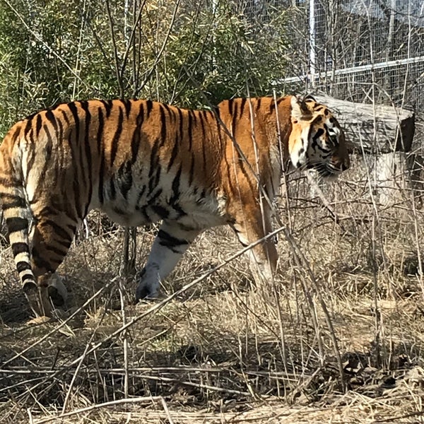 Photo taken at Sofia Zoo by Zhivko Z. on 2/27/2021