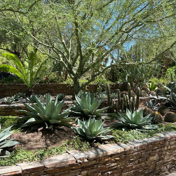 รูปภาพถ่ายที่ Desert Botanical Garden โดย Olena S. เมื่อ 9/4/2023