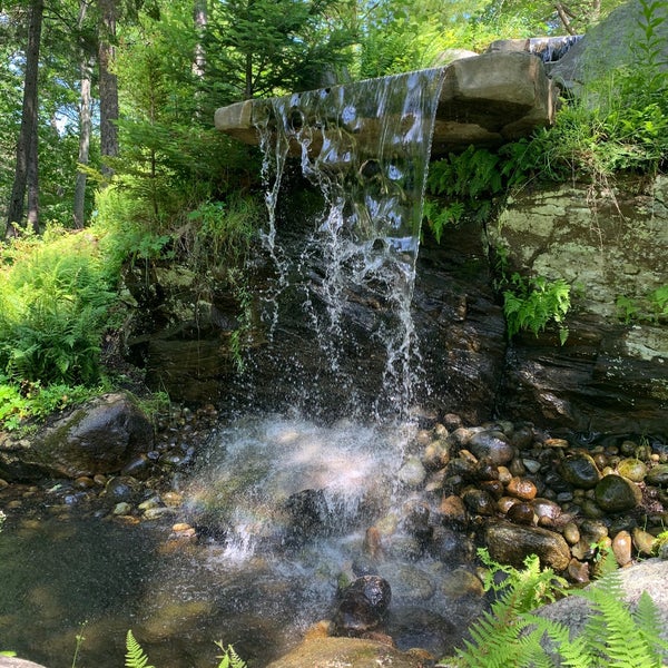 7/8/2020にpreston n.がCoastal Maine Botanical Gardensで撮った写真