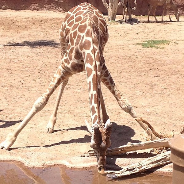 Photo taken at El Paso Zoo by Nadya M. on 5/25/2013