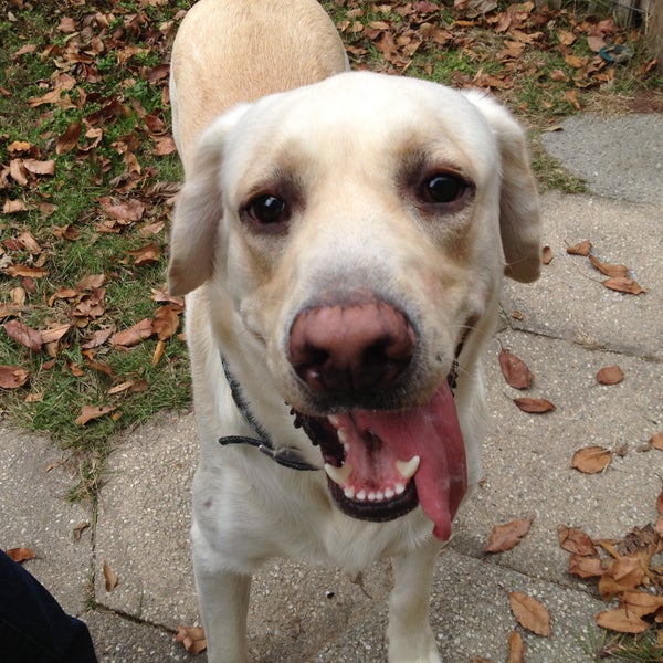 Sandy Memorial Animal Hospital 318 S 5th St