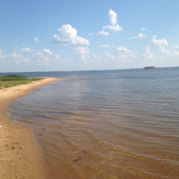 Остров б. Шевница остров. Остров б московское море фото. Дубна острова на московском море. Заяцкий остров соловки.