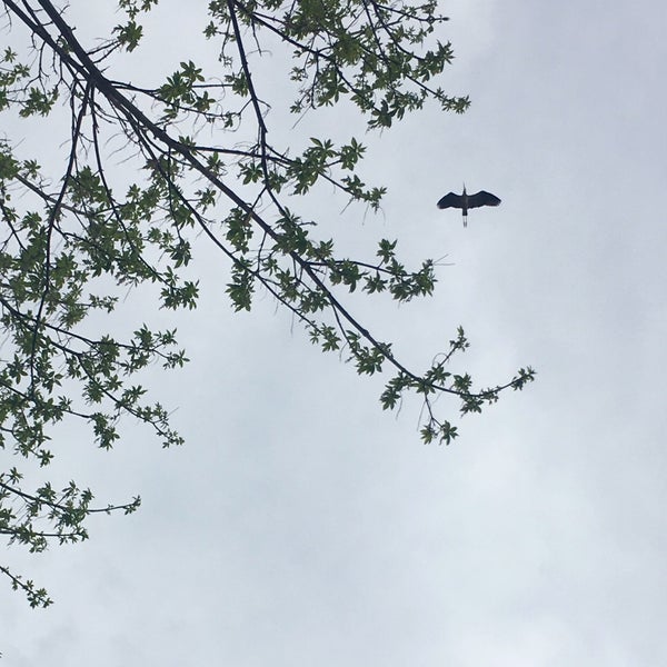 Bath Road Heronry Scenic Lookout in Akron
