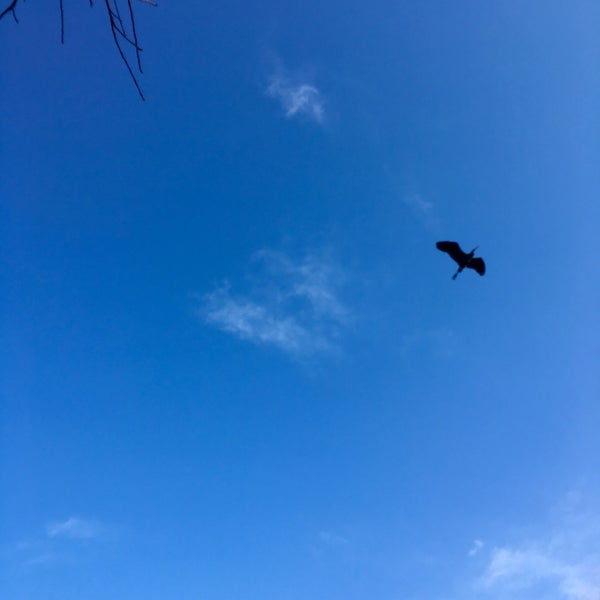 Bath Road Heronry Scenic Lookout in Akron