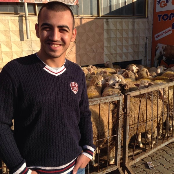 Elif Et Kombinası Aydınlı İstanbul, İstanbul�da fotoğraflar