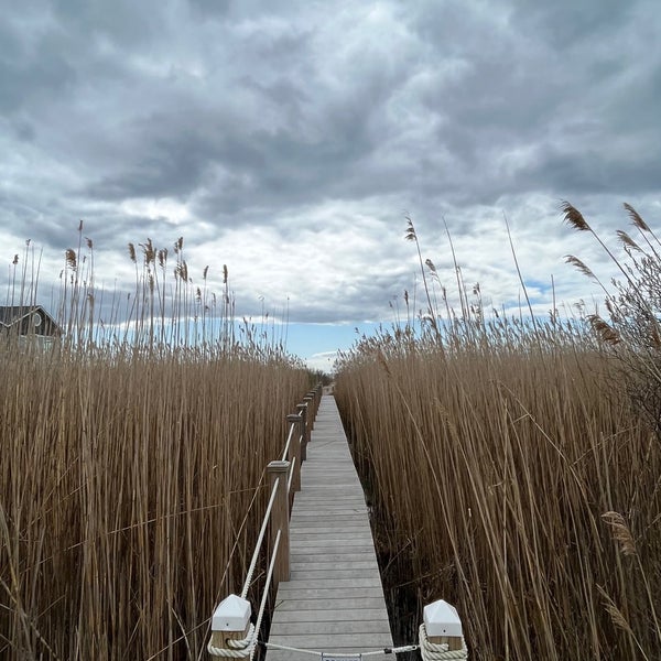 Quonochontaug Beach