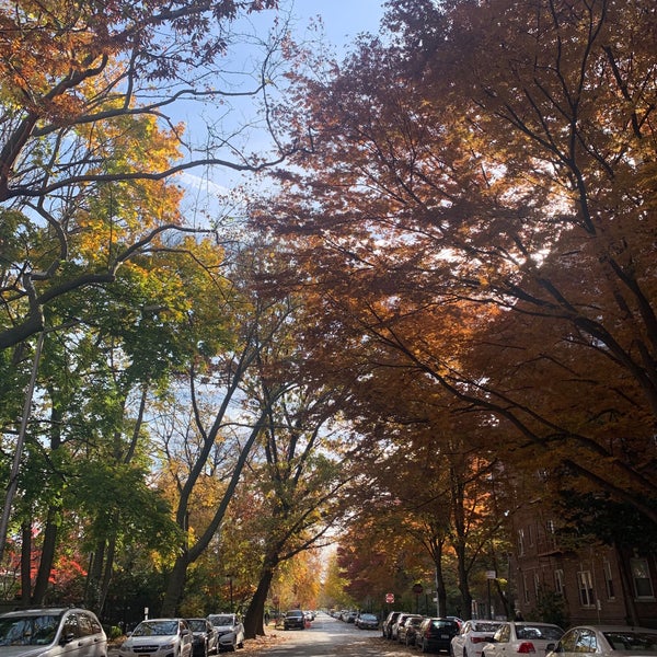 Midwood Brooklyn, NY