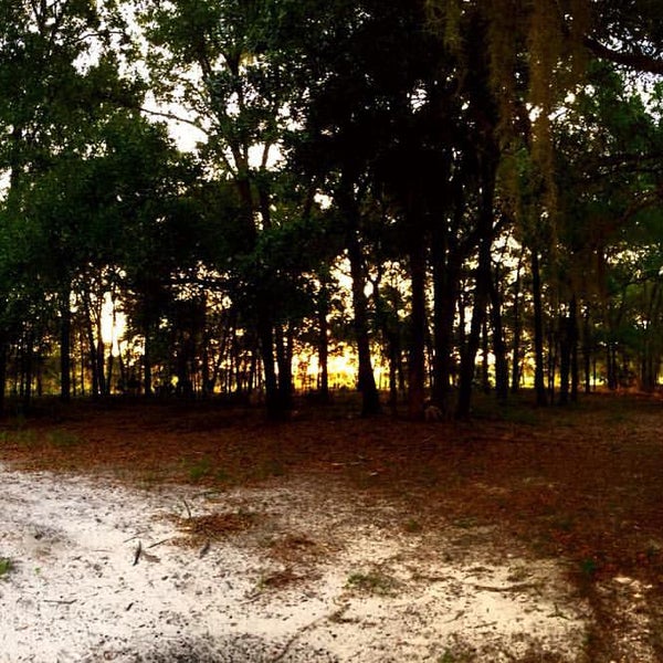 Photos At Camp La No Che 41940 Boy Scout Rd