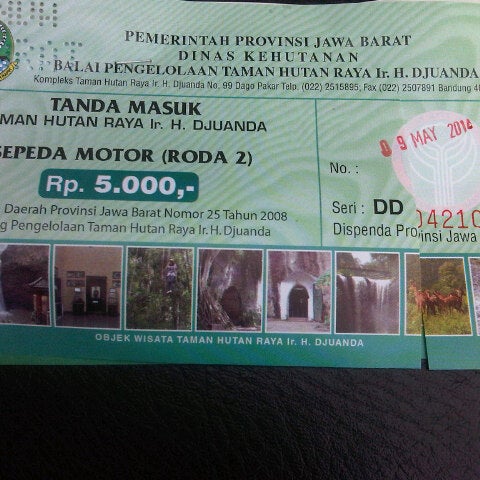 Things To Do In Bandung Visit Deer Sanctuary In Taman Hutan