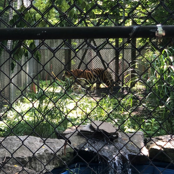 Photo taken at Seneca Park Zoo by Alison R. on 7/21/2021