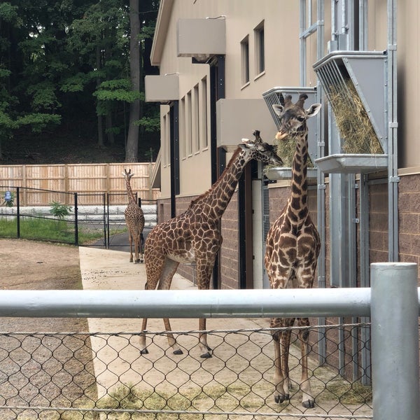 Foto tirada no(a) Seneca Park Zoo por Alison R. em 9/1/2019