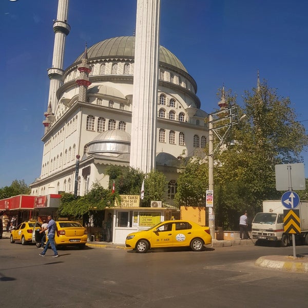 havuz yarış oyunları