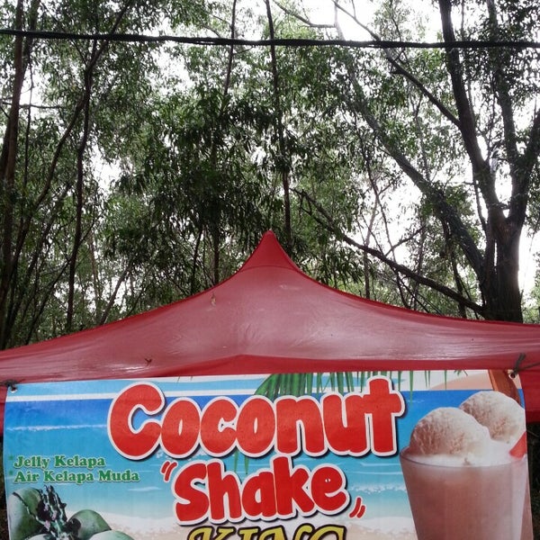 Coconut shake game