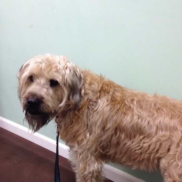 Scarbrough Animal Hospit - 2720 N University Dr Scarbrough Animal Hospit - 2720 N University Dr