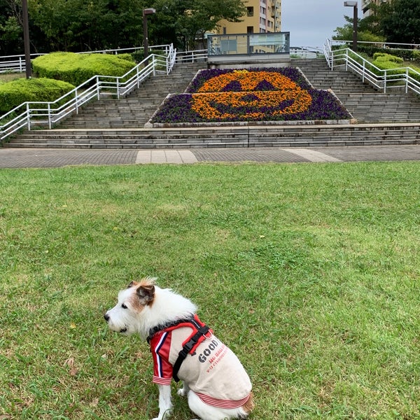 Photos At 幕張海浜公園 花時計 Garden In 千葉市