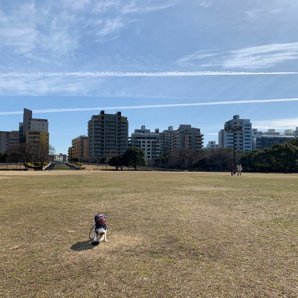 Photos At 幕張海浜公園 花時計 Garden In 千葉市