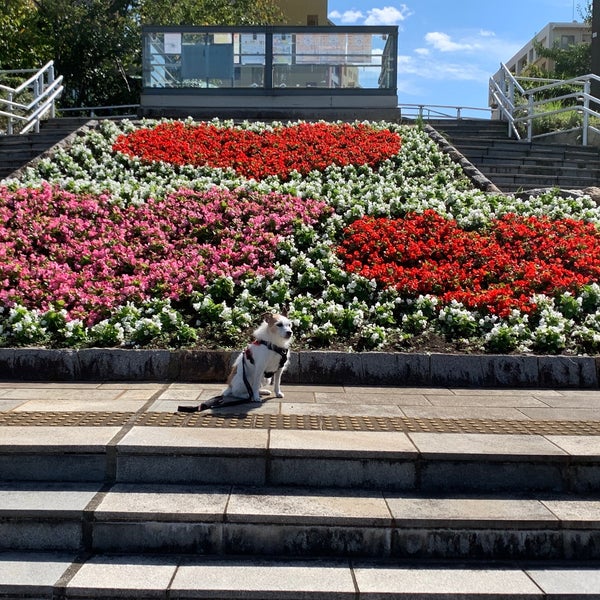Photos At 幕張海浜公園 花時計 Garden In 千葉市