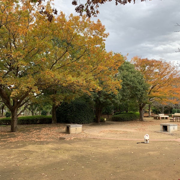 Photos At ピクニックの丘 習志野市 千葉県
