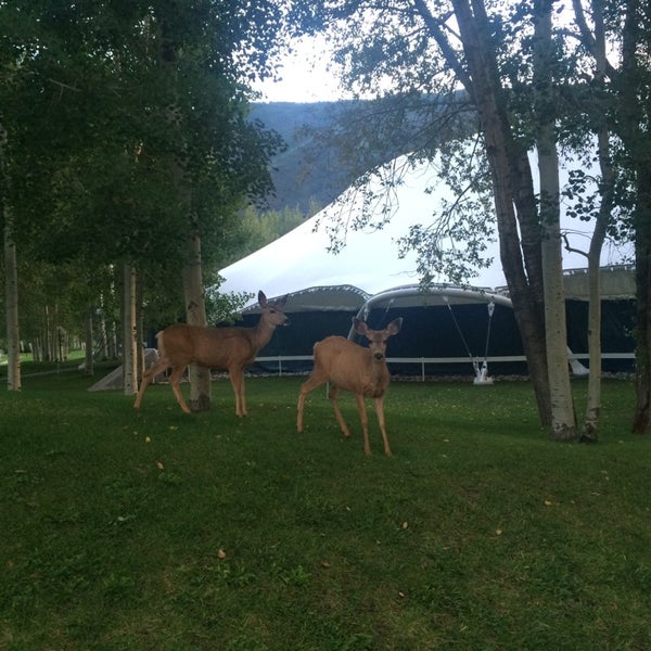 Foto tomada en Aspen Meadows Resort  por Richard C. el 8/25/2014