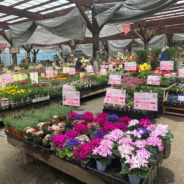 花ひろば 1 Tip From 153 Visitors