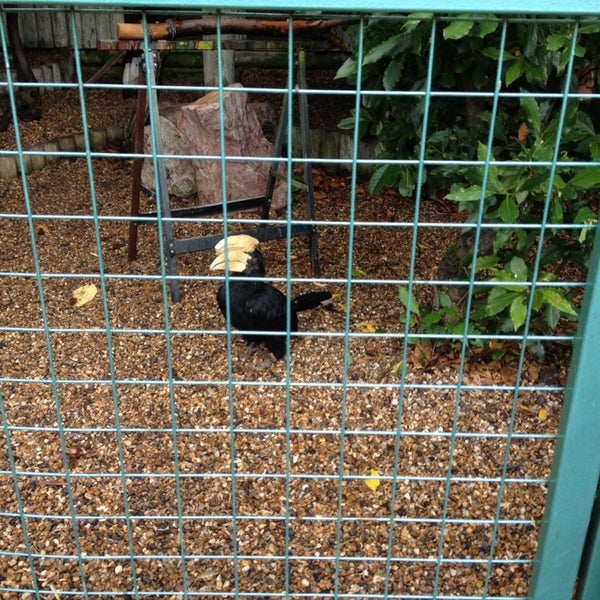 7/31/2013にChris B.がHertfordshire Zooで撮った写真