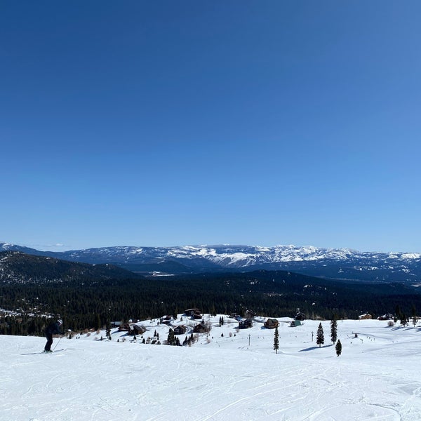 รูปภาพถ่ายที่ Tahoe Donner Ski Resort โดย Ivan K. เมื่อ 3/21/2021