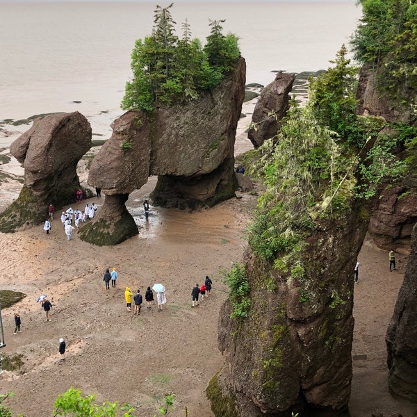 Hopewell Rocks Tide Chart 2017