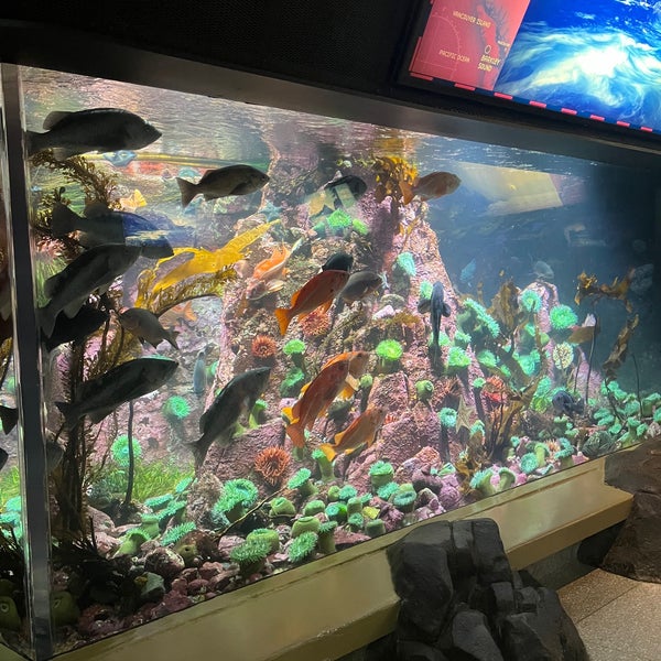 Photo taken at Vancouver Aquarium by Atenas .. on 9/1/2023