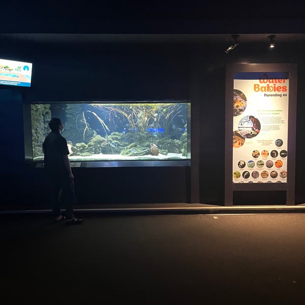 Photo taken at Vancouver Aquarium by Atenas .. on 9/1/2023