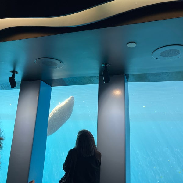 9/1/2023에 Atenas ..님이 Vancouver Aquarium에서 찍은 사진