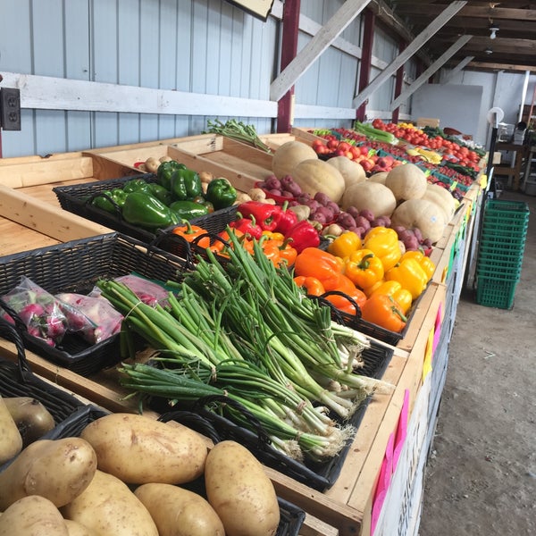 The Market Barn 52 Visitors