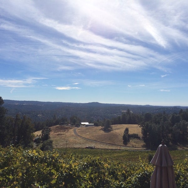 Holly's Hill Vineyards Placerville, CA