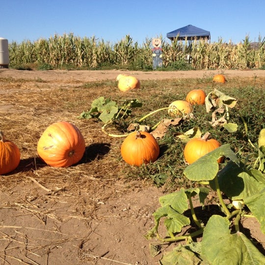 Photos At Mountain Valley Ranch Pumpkin Patch Farm