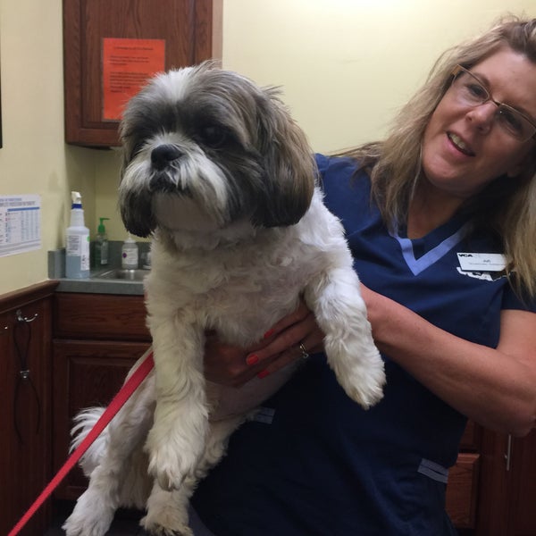 vca old trail animal hospital