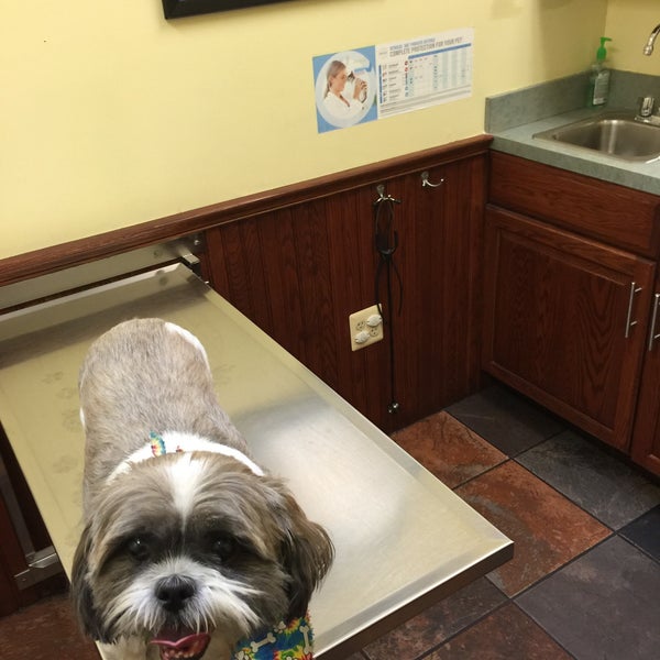 vca old trail animal hospital