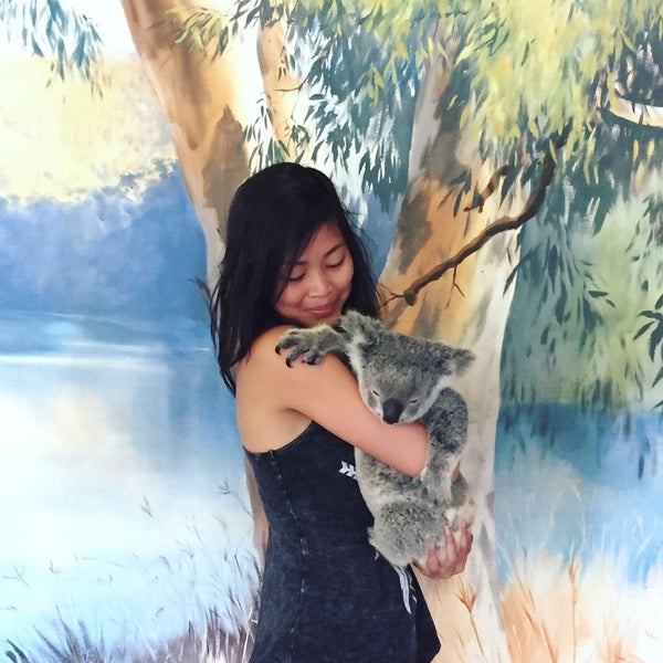 Foto diambil di Kuranda Koala Gardens oleh Kristin W. pada 11/25/2015