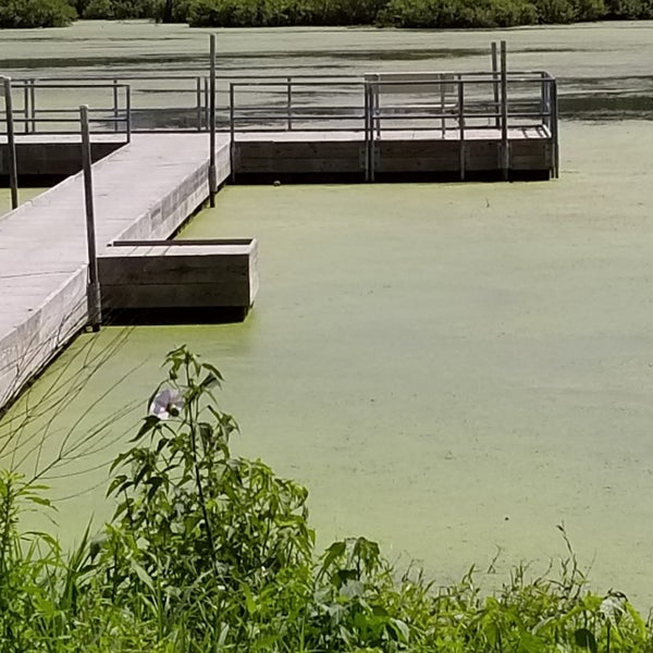 LaSalle Fish and Wildlife Area Other Great Outdoors