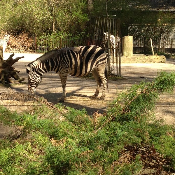 Снимок сделан в Zoo Rostock пользователем braunertolle 〴. 5/1/2013