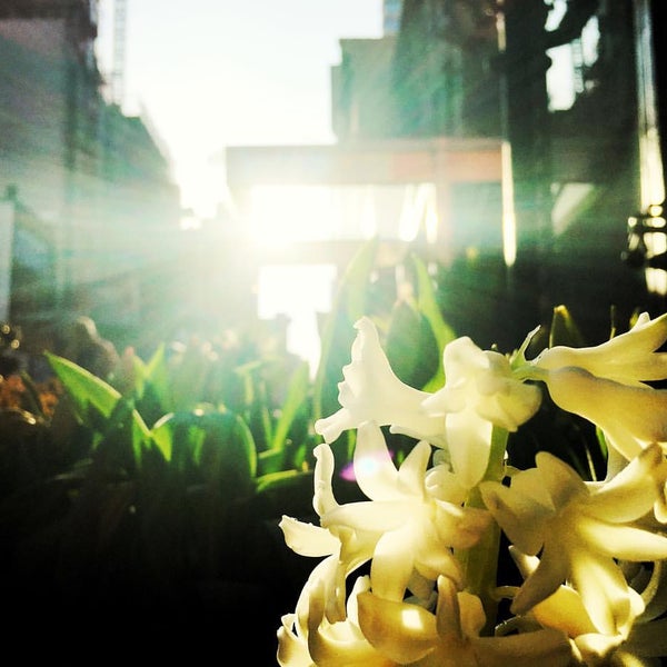 Flower Market Flower Store in Chelsea