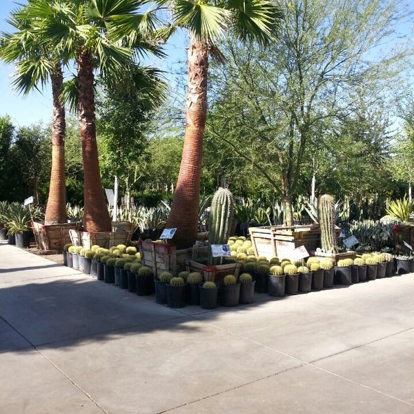Moon Valley Nursery Surprise Az