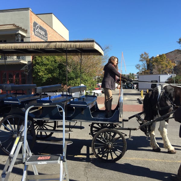 carolina carriage and polo company