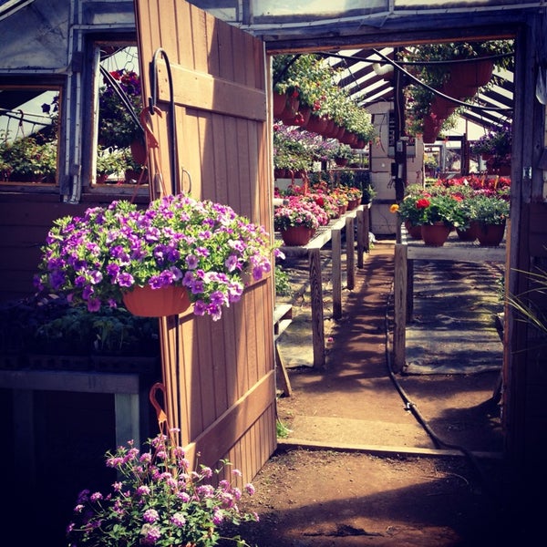 Sokolowski's Greenhouses Flower Store in Clifton Park