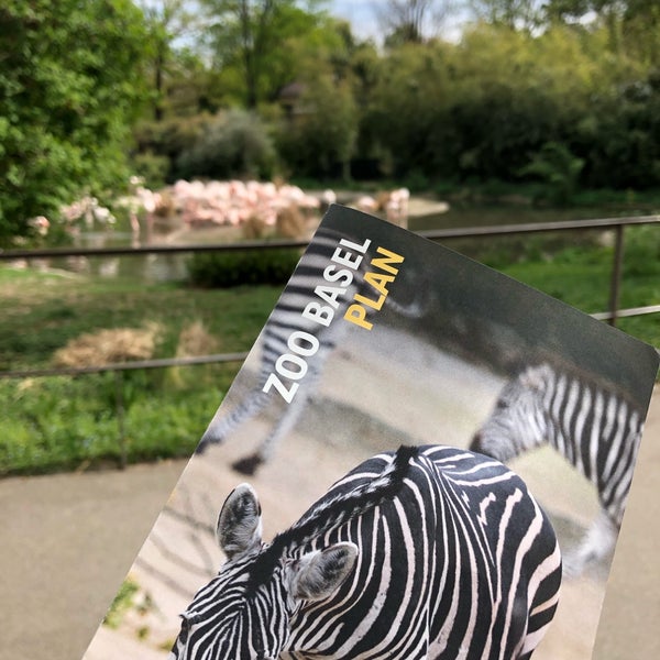 Photo taken at Zoo Basel by Oztunc O. on 4/22/2019
