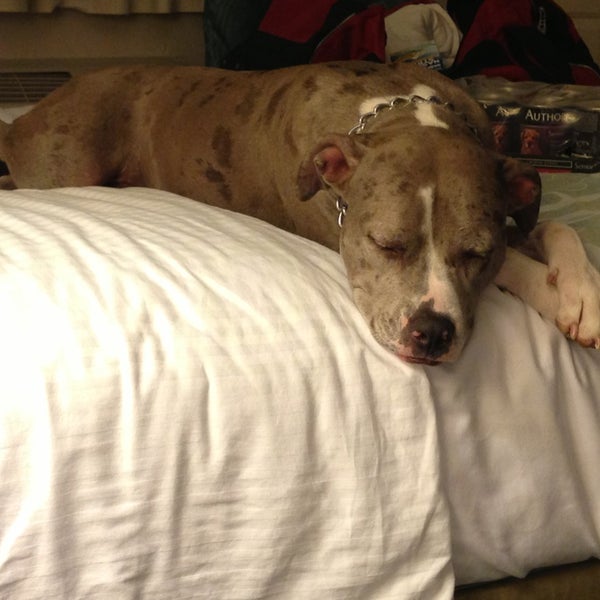 La Quinta Inn Abilene 4 tips