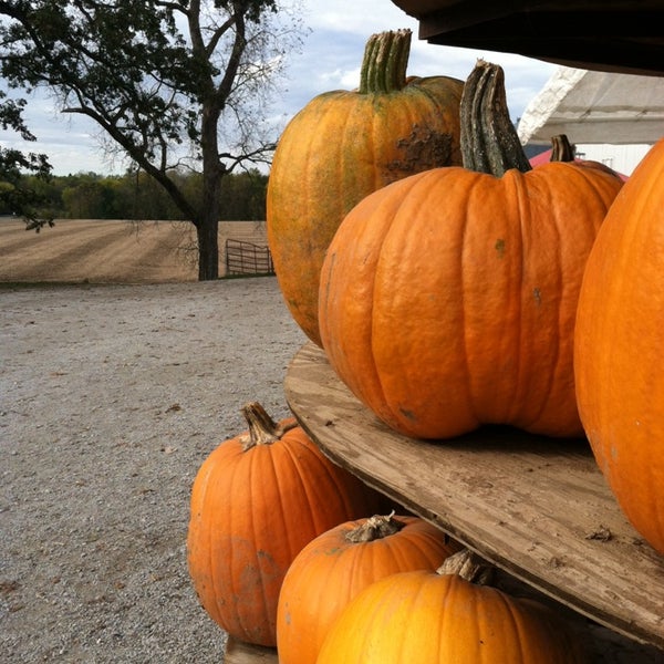 The Pumpkin Barn Other Great Outdoors