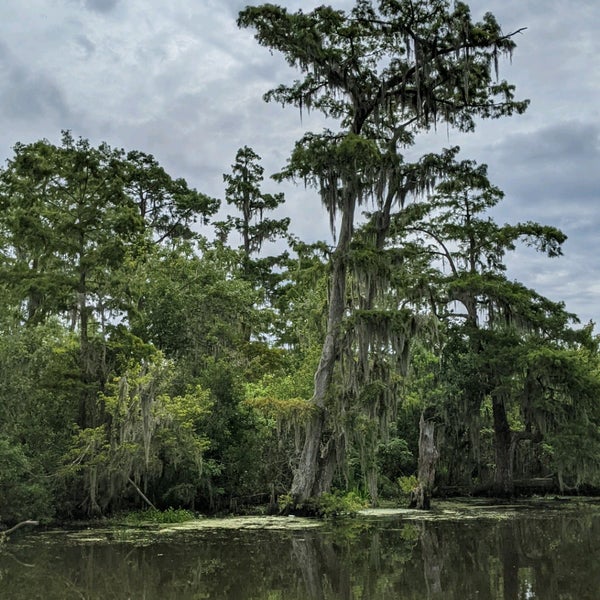 Bayou State Park State or Provincial Park in Westwego