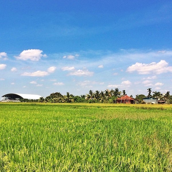 Photos at Kampung Parit Buaya, Aloq Staq - Alor Star, Kedah