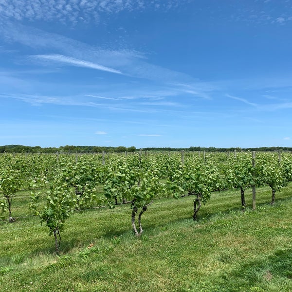 Foto tirada no(a) Macari Vineyards por Brendan B. em 6/20/2019