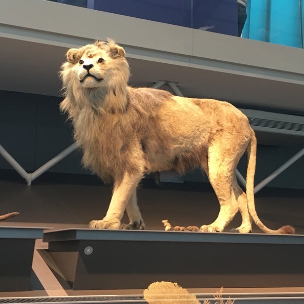 Photo taken at Museum of Natural Sciences by Tiff C. on 3/17/2019